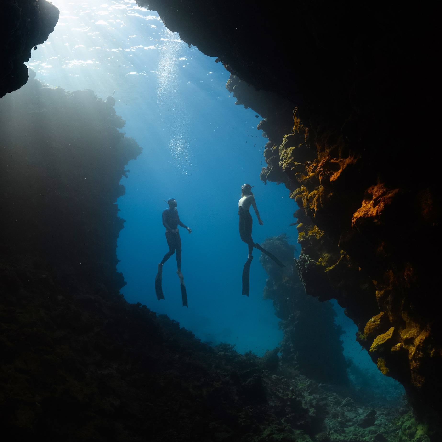 A picture of people swimming